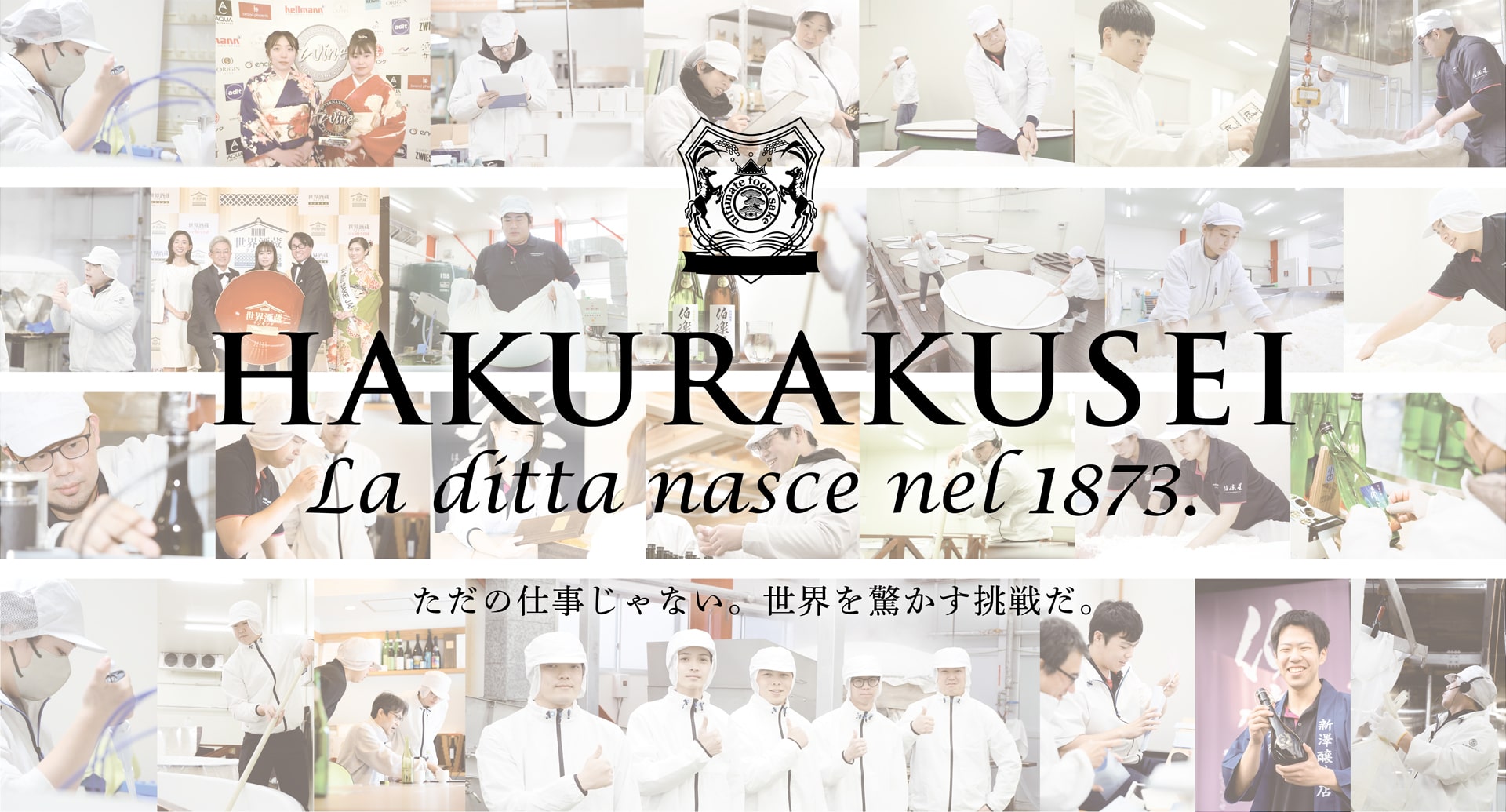 新澤醸造店 伯楽星 採用情報 ただの仕事じゃない。世界を驚かす挑戦だ。